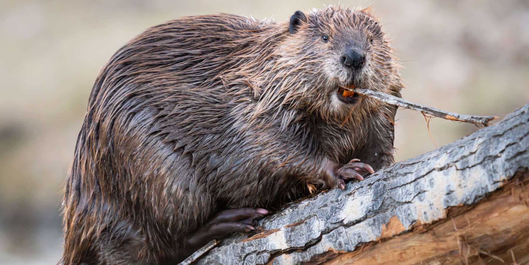 4_stock.adobe.com-min.jpg © stock.adobe.com 4_stock.adobe.com-min.jpg © stock.adobe.com