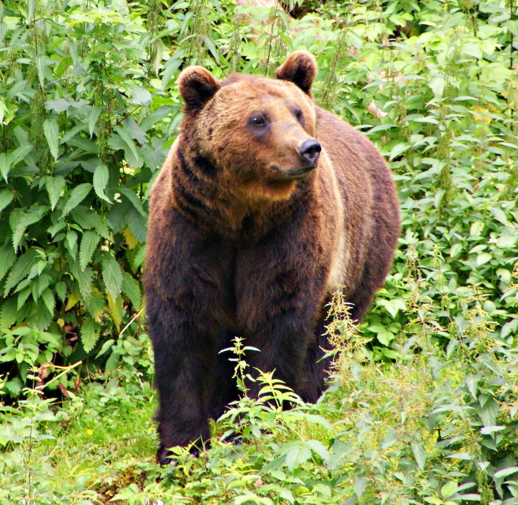 2_KB Archiv-min (1).jpg © KB-Archiv 2_KB Archiv-min (1).jpg © KB-Archiv