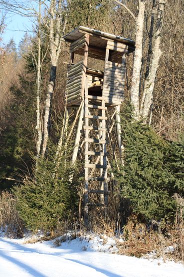 6_Hochsitz-min.jpg © Rolanda Gruber Santa