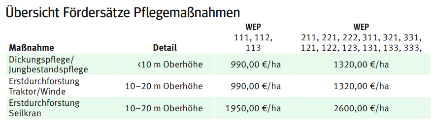 Fördersätze Pflegemaßnahme.png