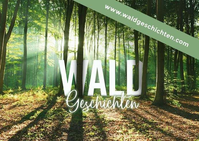Waldgeschichten-quer-min.jpg Waldgeschichten-quer-min.jpg
