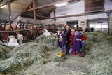 Hier kann man 24/7 Milch zapfen.jpg © Kronreif