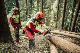 Arbeiten im Wald Arbeiten im Wald