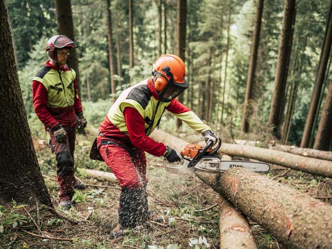 Arbeiten im Wald © Bernhard Bergmann