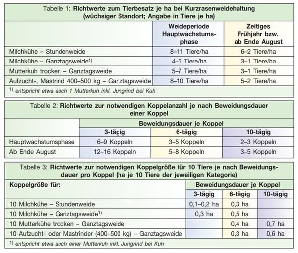 Abbildung Richtwerte Tierbesatz .jpg