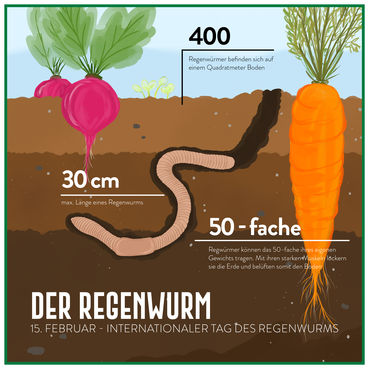 LK_NÖ_Regenwurm_Illustration_highres_SocialMedia.jpg © LKÖ