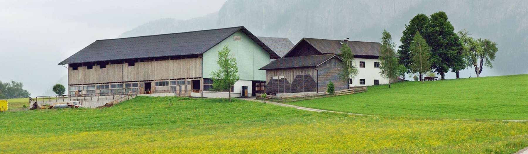 Bauernhof © LK OÖ Bauernhof © LK OÖ