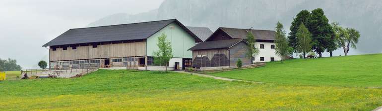 Bauernhof © LK OÖ Bauernhof © LK OÖ