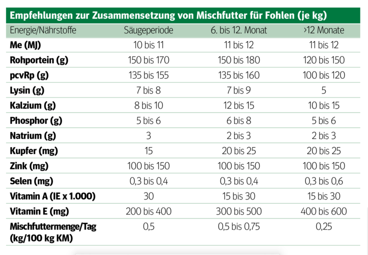 Auf die Weide, fertig, los: Raus ins Grüne für Mutterstuten .png © Kronreif Auf die Weide, fertig, los: Raus ins Grüne für Mutterstuten .png © Kronreif