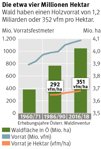 Grafik: Wald in Österreich © Careforparis (UBA, BFW, Boku), Holzkurier.com Grafik: Wald in Österreich © Careforparis (UBA, BFW, Boku), Holzkurier.com