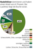 Grafik: Baumarten