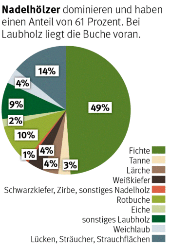 Grafik: Baumarten © Careforparis (UBA, BFW, Boku), Holzkurier.com