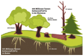Grafik: Klimaheld Wald