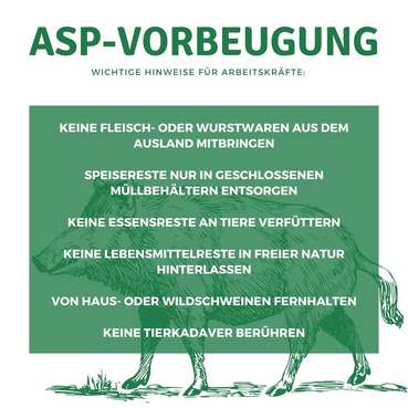 ASP-Vorbeugung-lk-burgenland.jpg © LK Burgenland