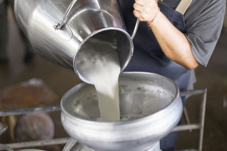Salzburgs Milchmarkt: Weiteres Plus beim Milchpreis nötig.jpg Salzburgs Milchmarkt: Weiteres Plus beim Milchpreis nötig.jpg