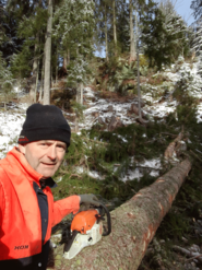 Waldarbeiter im Wald © Privat