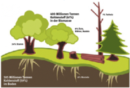 Grafik-Wald.png © LK Steiermark