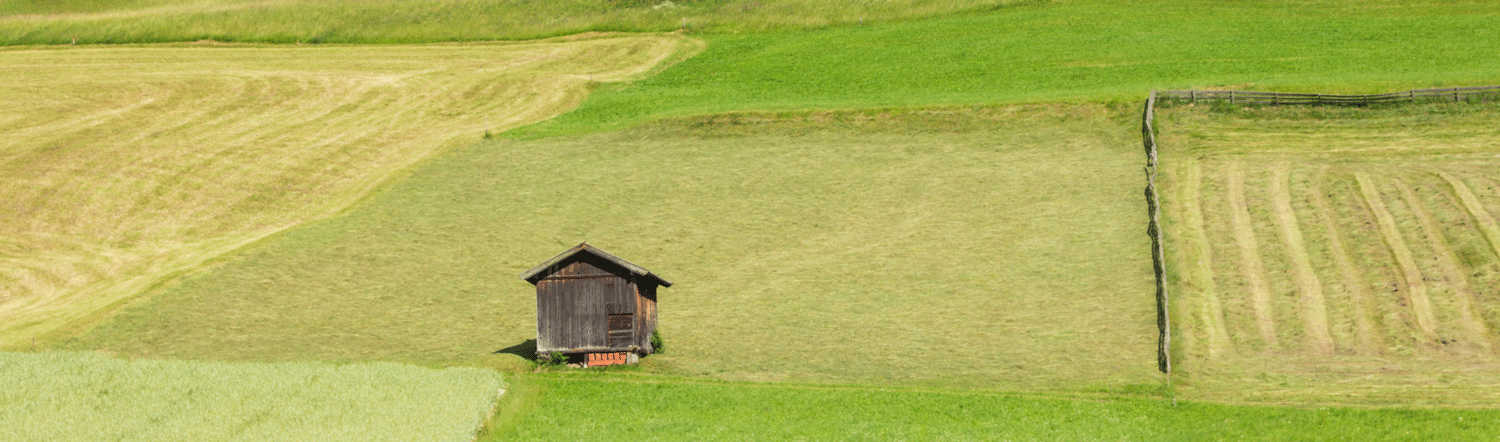 Feld-(c)-Michaela-Koelle-.png © Michaela Kölle Feld-(c)-Michaela-Koelle-.png © Michaela Kölle