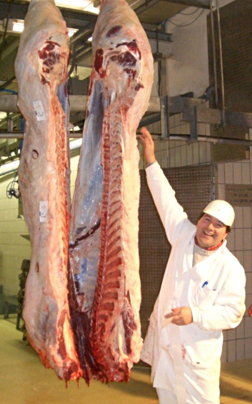 Klassifizierung.jpg © Prüf- und Kontrollring Klassifizierung.jpg © Prüf- und Kontrollring