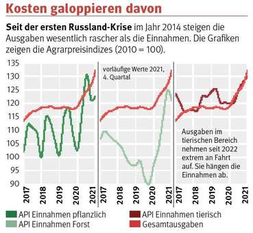 Grafik