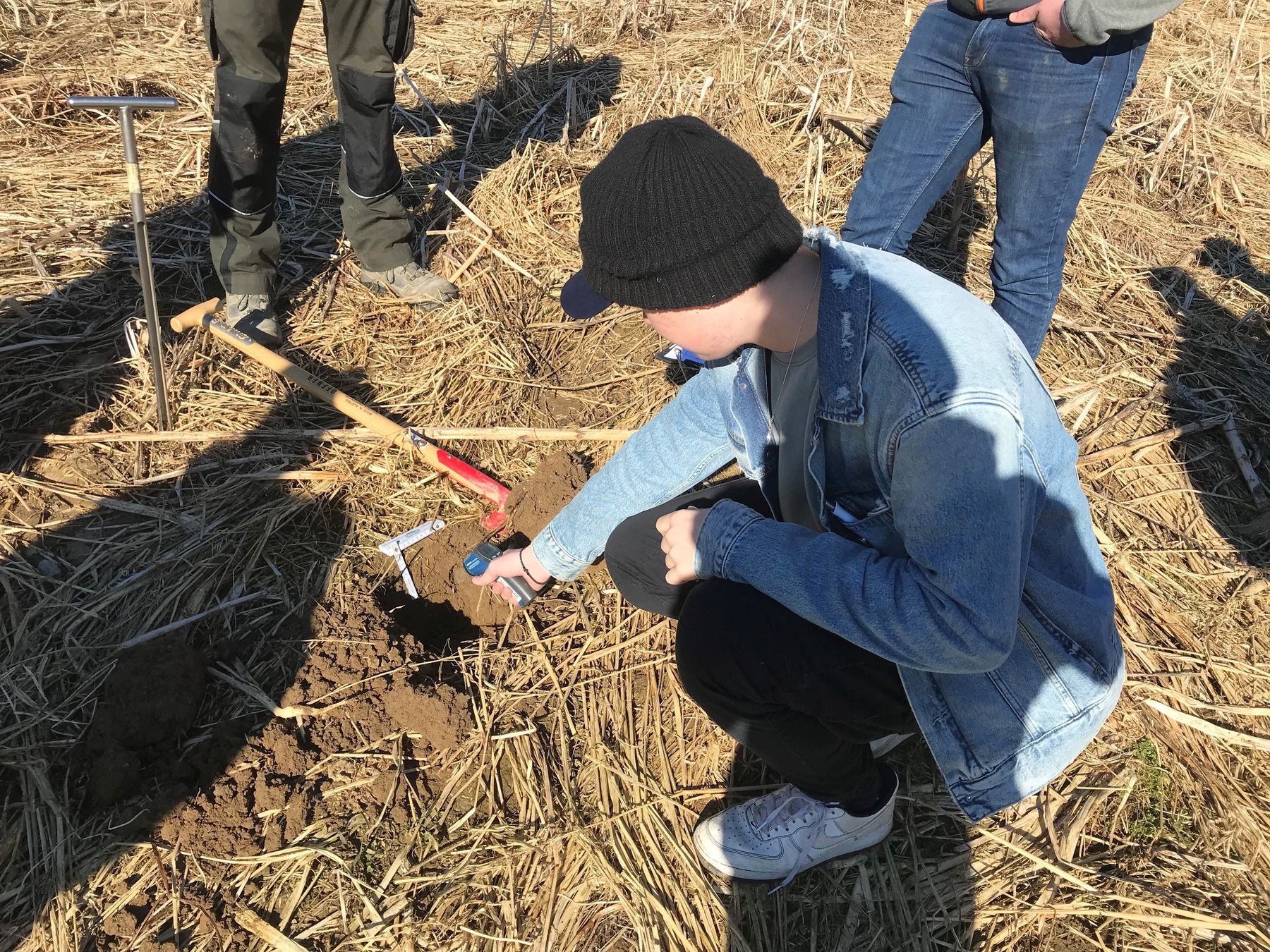 Beurteilung der Bodentemperatur © BWSB/Gerstl