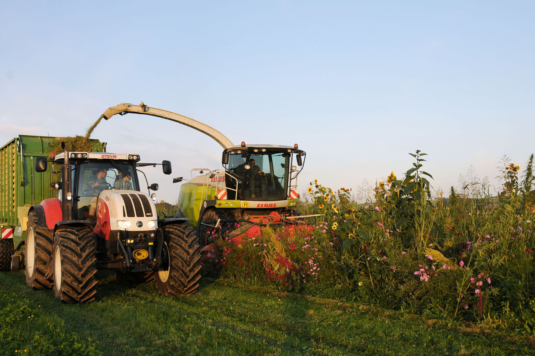 Flower Power.jpg © LK Salzburg/Dürnberger Flower Power.jpg © LK Salzburg/Dürnberger