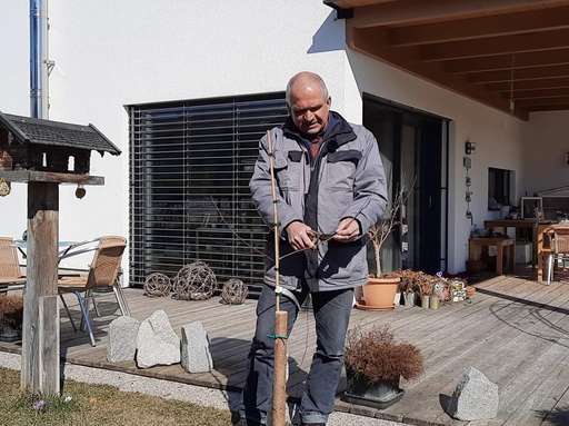 Titelbild Pflanzschnitt bei einer kleinkronigen Zwetschke.jpg