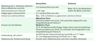 Kennzahlen qplus lamm und kitz.png