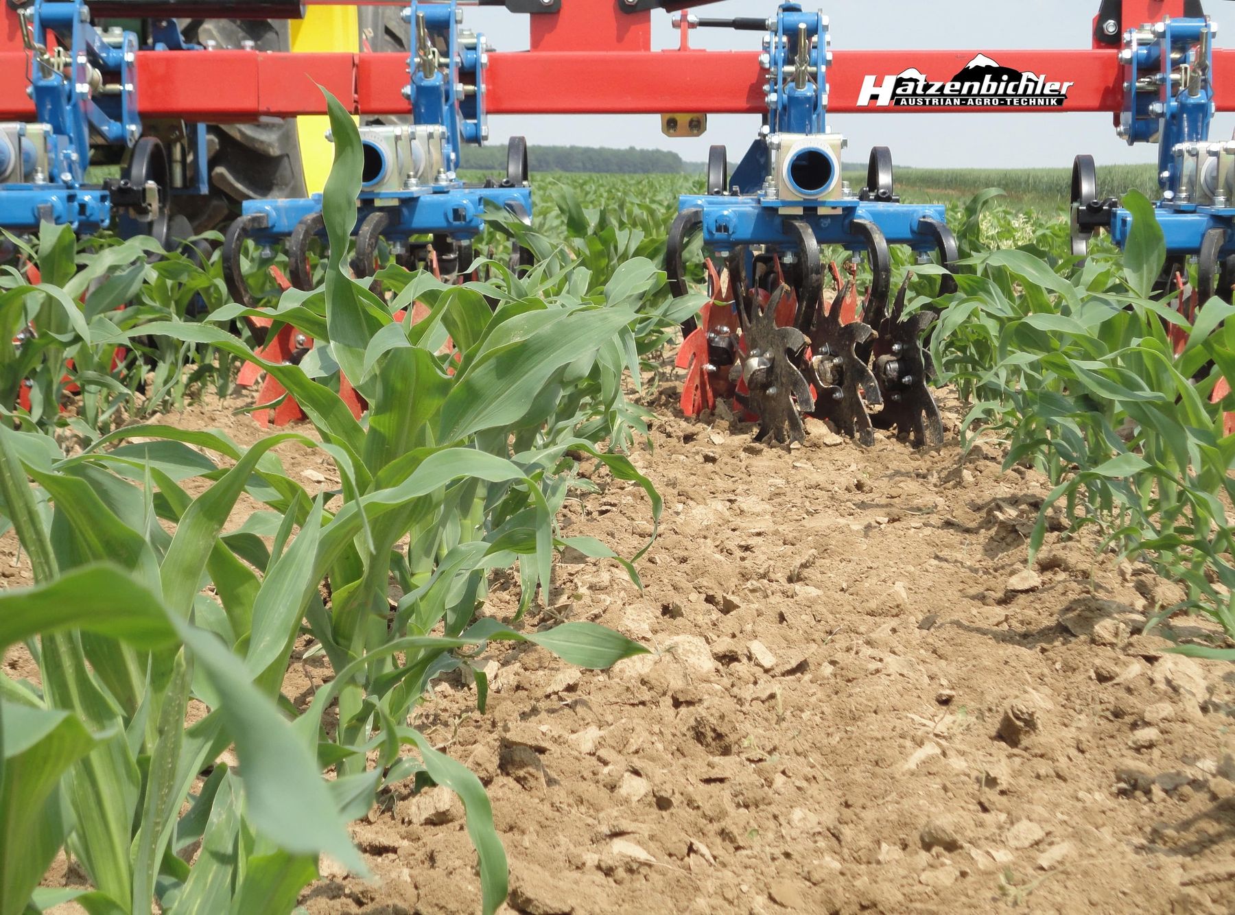 5_brechen von verkrustungen-min.jpg © Hatzenbichler 5_brechen von verkrustungen-min.jpg © Hatzenbichler