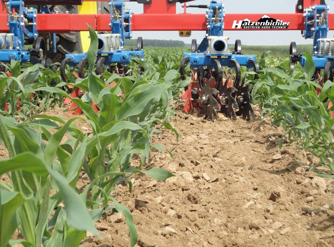 5_brechen von verkrustungen-min.jpg © Hatzenbichler 5_brechen von verkrustungen-min.jpg © Hatzenbichler