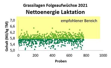 Streuung der Energiedichte von Grassilagen