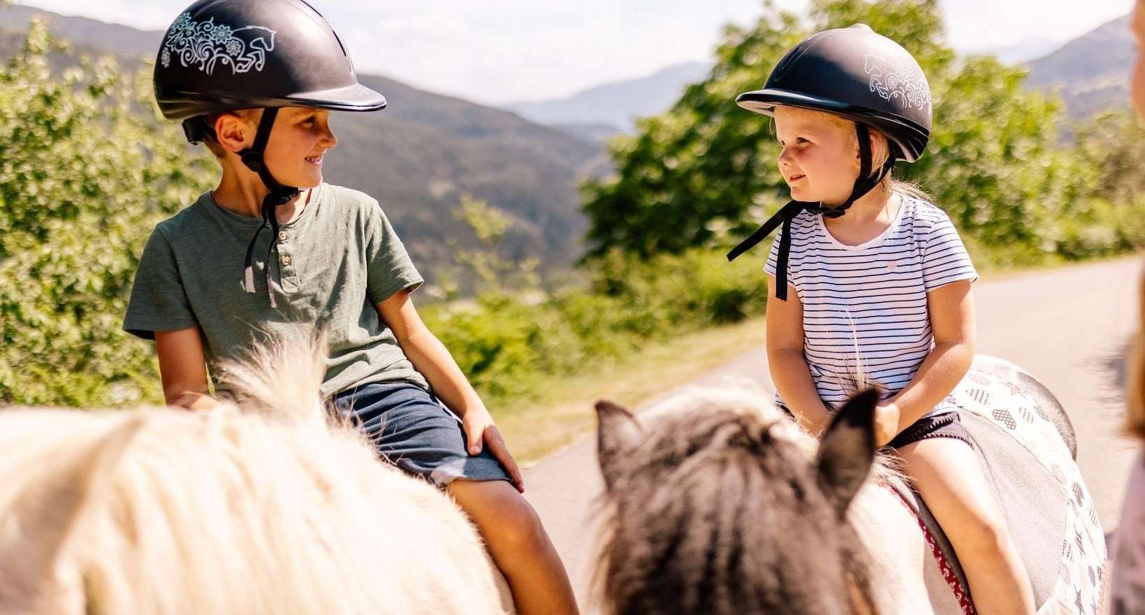 Sicherheit Bauernhof Pferd-min.jpg © Daniel Waschnig Sicherheit Bauernhof Pferd-min.jpg © Daniel Waschnig