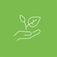 LK Beratungs-Icon © LK LK Beratungs-Icon © LK