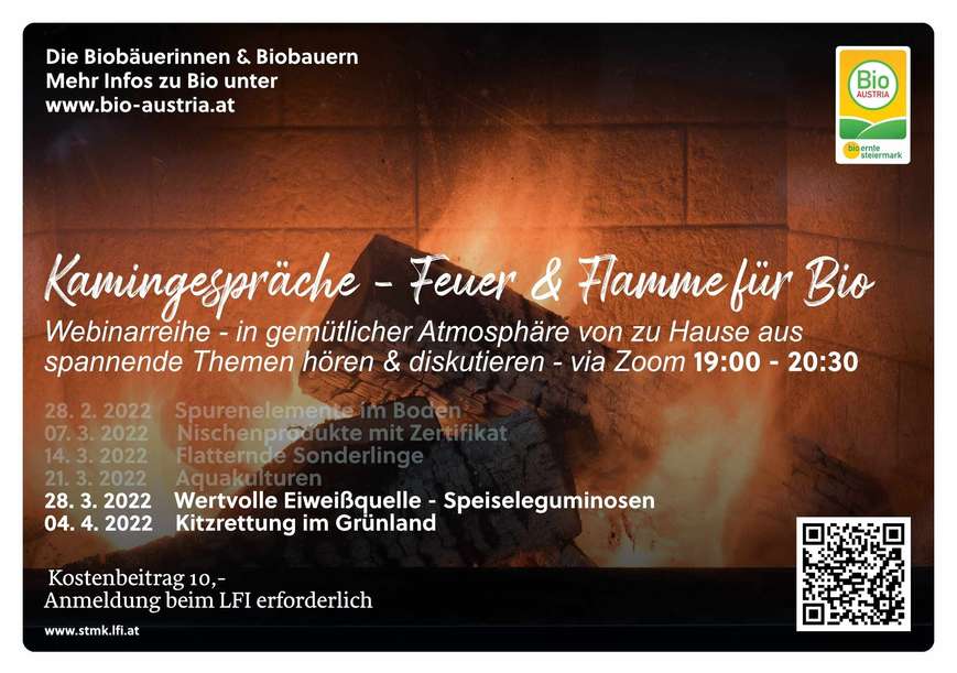 Kamingespräche 1.pdf.jpg