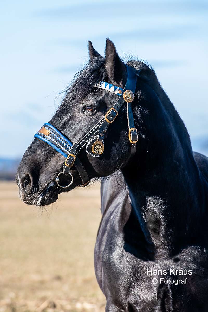 Die Ländlichen  stehen auch für Tradition und Brauchtum rund ums Pferd. © Hans Kraus Die Ländlichen  stehen auch für Tradition und Brauchtum rund ums Pferd. © Hans Kraus
