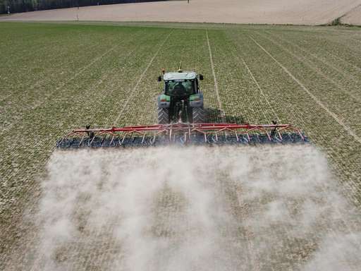 Titelbild Mechanische Beikrautregulierung bei Triticale mit dem Striegel web.jpg