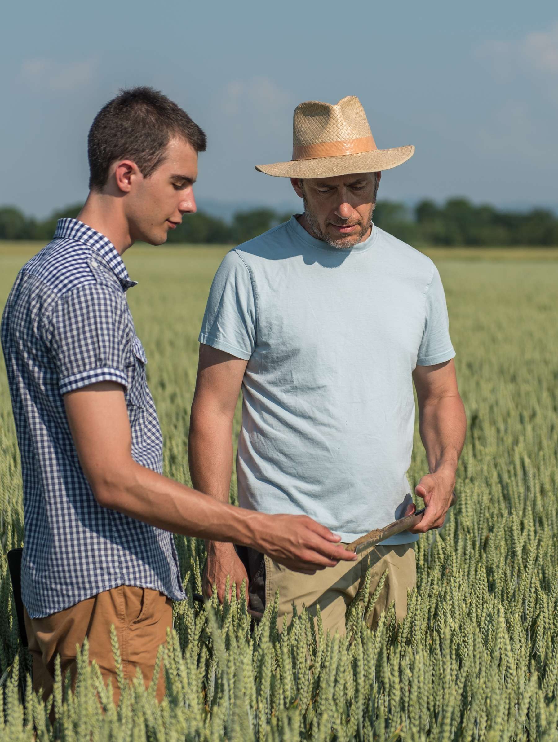 Einheitswert.jpg © agrarfoto Einheitswert.jpg © agrarfoto