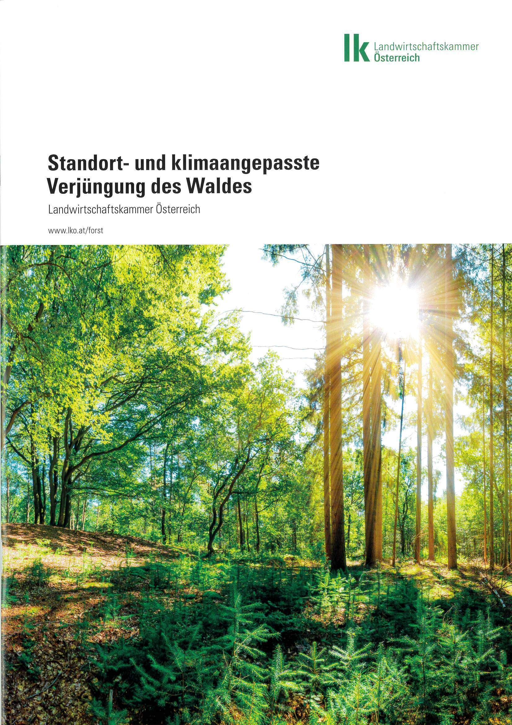 Titelblatt der Broschüre Standort und Klimaangepasste Verjüngung des Waldes © LK Ö Titelblatt der Broschüre Standort und Klimaangepasste Verjüngung des Waldes © LK Ö