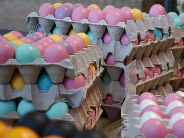 neuer-trend-pastellfarbene-eier-kaiser-lk-burgenland.jpg © Kaiser/LK Burgenland neuer-trend-pastellfarbene-eier-kaiser-lk-burgenland.jpg © Kaiser/LK Burgenland