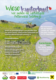 Flyer.png © Archiv Flyer.png © Archiv
