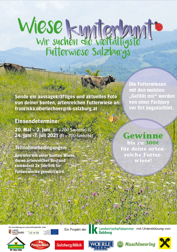 Flyer.png © Archiv Flyer.png © Archiv