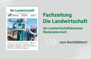Banner_Zeitung12 © LK Niederösterreich