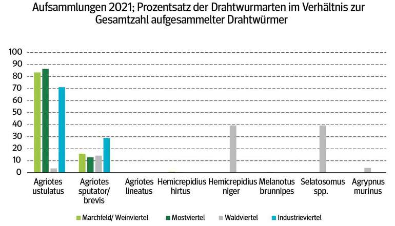 Die Grafik präsentiert die von der AGES bestimmten Arten in den verschiedenen Regionen. Es zeigt sich, dass es in den Gebieten zum Teil große Unterschiede hinsichtlich der Schadarten gibt. © Wechselberger/AGES