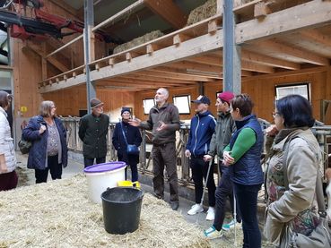 Afterwork am Bauernhof.jpg © LFI Salzburg Afterwork am Bauernhof.jpg © LFI Salzburg