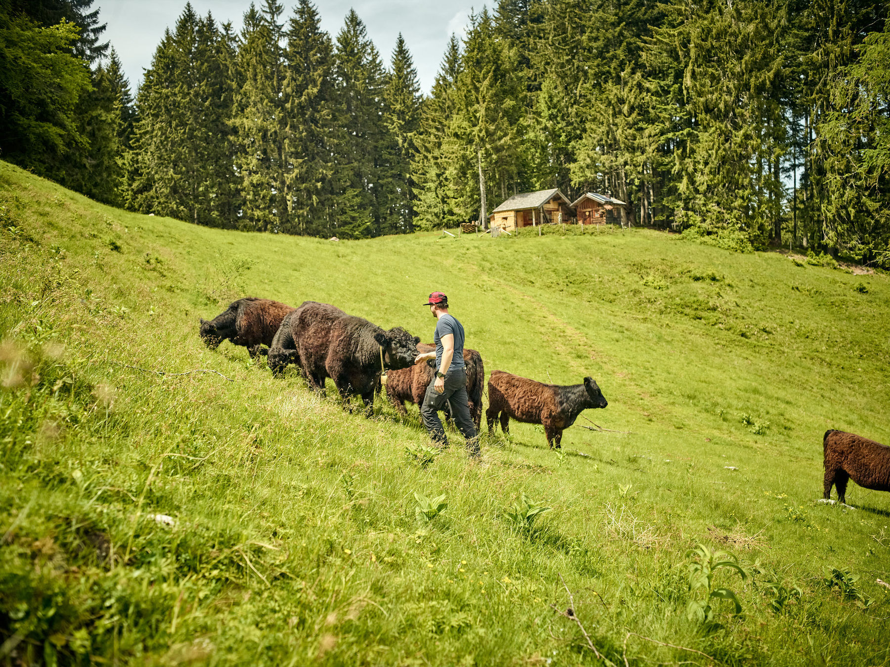 Woche der Salzburger Landwirtschaft.jpg © Chris Rogl Woche der Salzburger Landwirtschaft.jpg © Chris Rogl