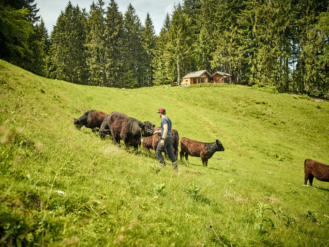 Woche der Salzburger Landwirtschaft.jpg © Chris Rogl Woche der Salzburger Landwirtschaft.jpg © Chris Rogl