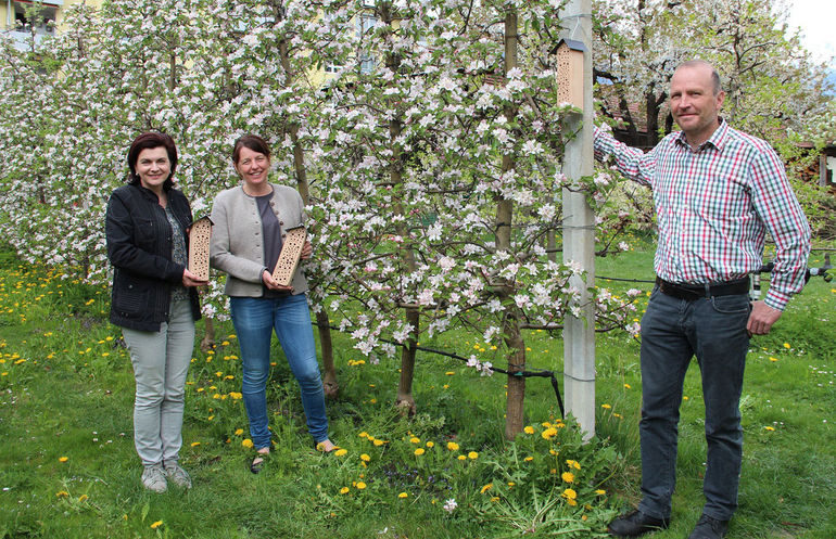 Übergabe der Wildbienenhotels bei den Obstbäumen