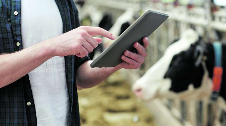 Datenerfassung zur Festlegung des Tierwohls Datenerfassung zur Festlegung des Tierwohls