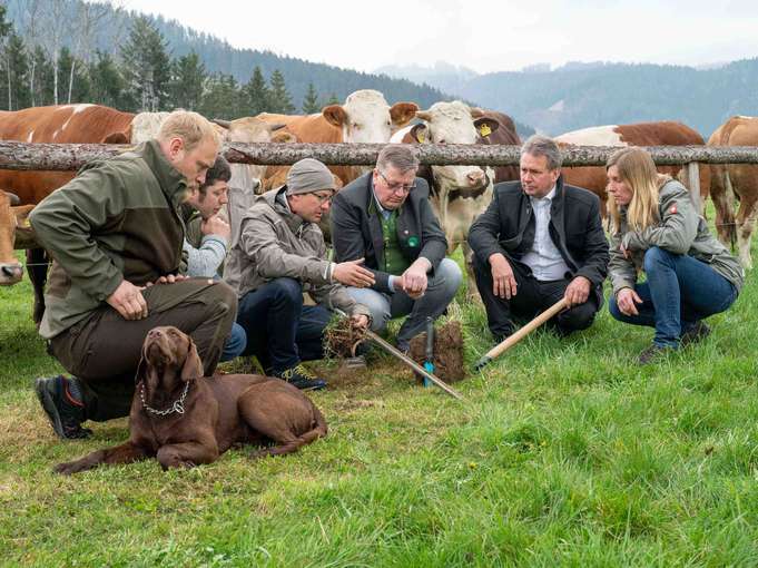 Pressekonferenz Grünland