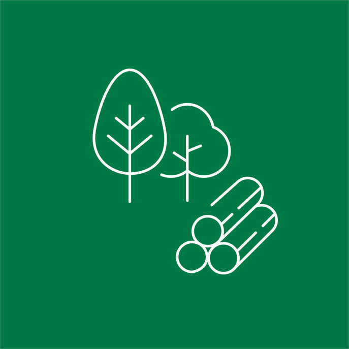 lk_beratung_forst_holzwirtschaft © LK OÖ lk_beratung_forst_holzwirtschaft © LK OÖ